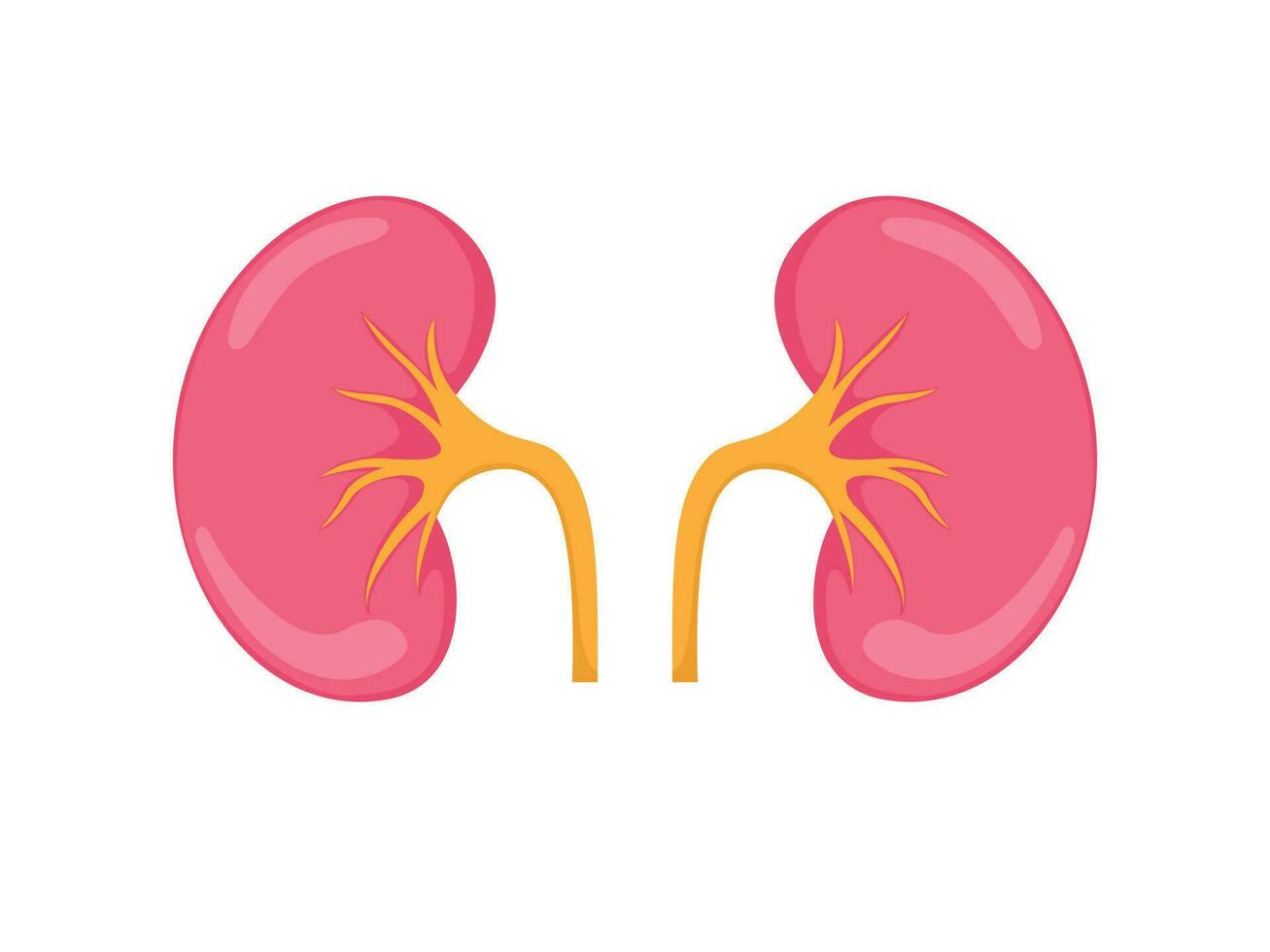 Prehospital Medical - Renal Conditions